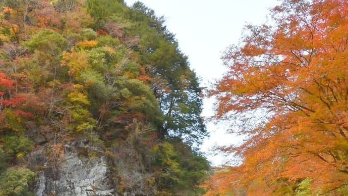 瀬戸川渓谷 アメガエリの滝への行き方6 アメガエリの滝