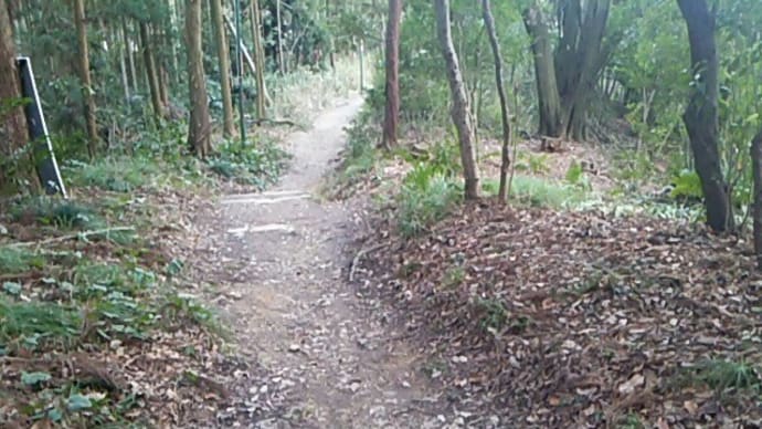 式子内親王集 山家の道