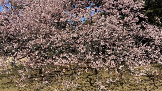 受験生花子と東京、3日目