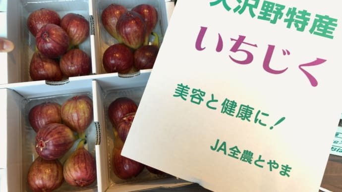大沢野いちじくに会いにシェフと圃場へ!