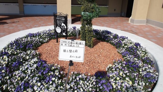 ビオラとアトムのトピアリー