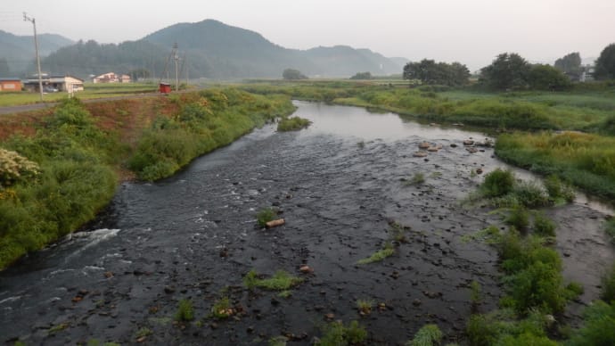 turikiti23鮎釣り情報