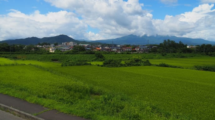 台風7号の脅威が去りました・・・