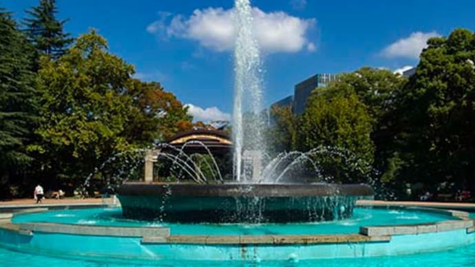 日比谷公園の噴水とリュウゼツランのその後