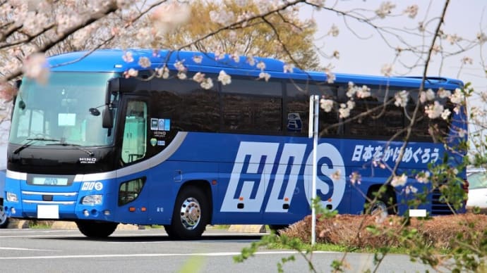 やっと観光バスを見た