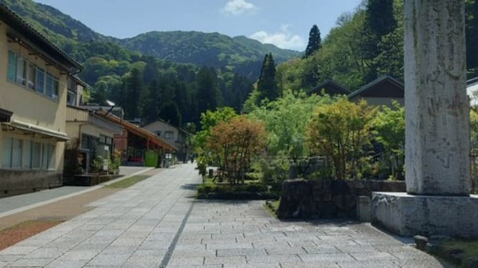 結婚記念日 ~ 座禅で瞑想