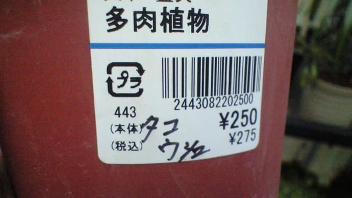 名前を思い出せない・・・・　　　ようやく名前はわかったが・・・・　　　追記です