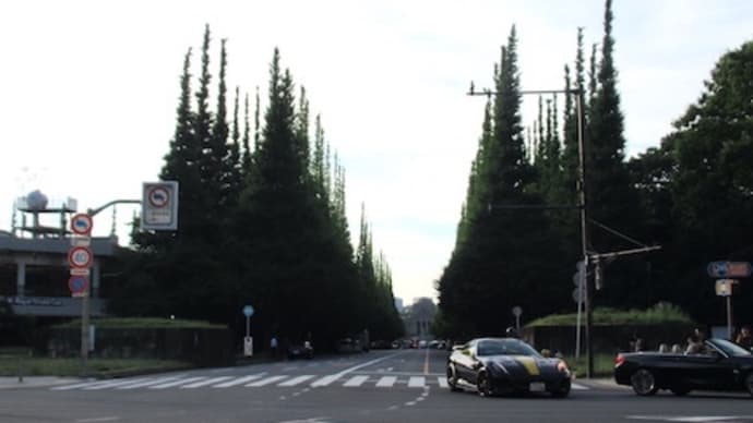 青山通りのあれと謎