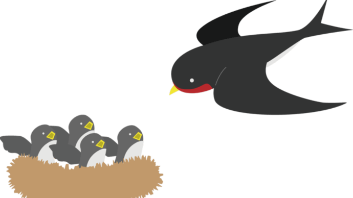 我が家にもツバメの巣が…