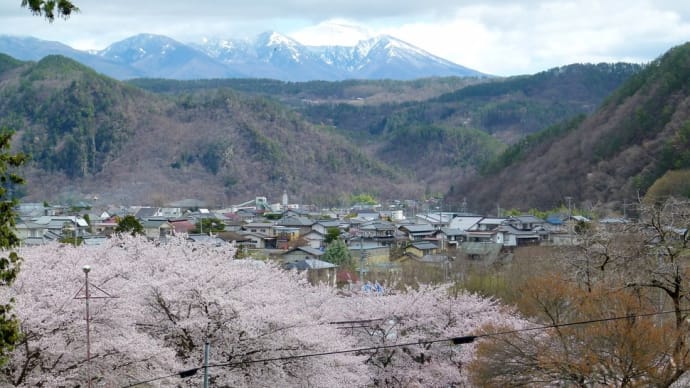 信州上田･･･武石･･･子檀嶺神社で･･･満開のソメイヨシノのお花見