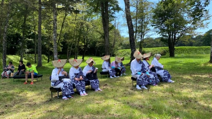 デビュー戦