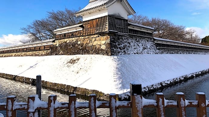 ガラシャのはじめての雪景色です。