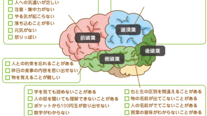 脳の情報処理能力 2