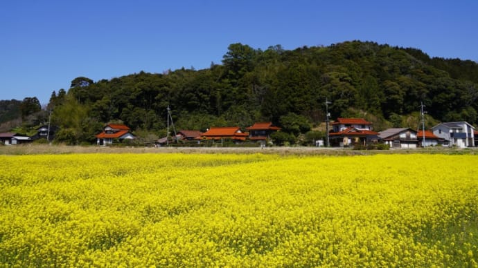 絶景の宮ヶ島と衣毘須神社