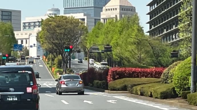 外来。