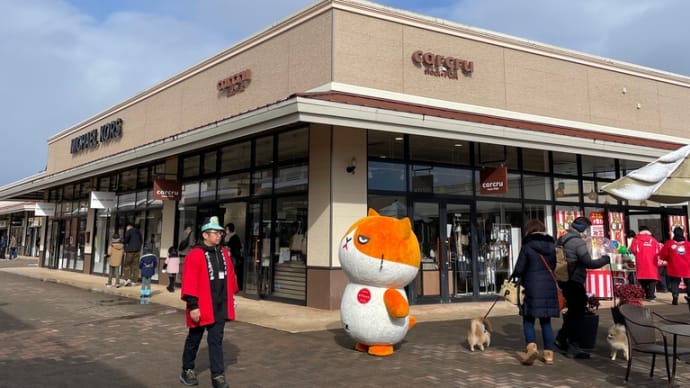 ふてニャンも買い物?