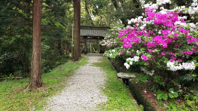対馬巡り:多久頭魂神社