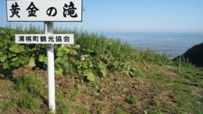 黄金の滝