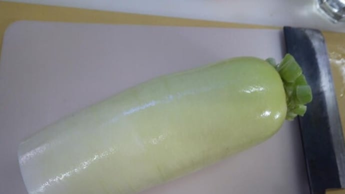 大根の季節