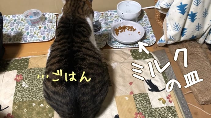 食欲の秋