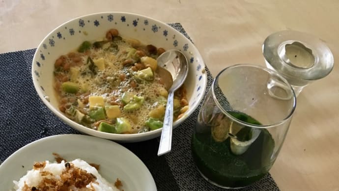 今日の料理