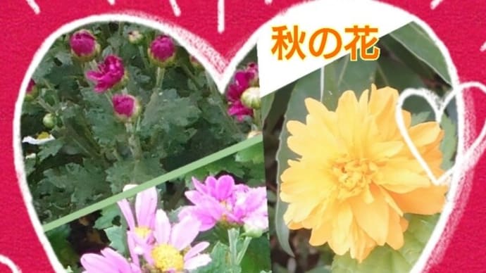 10/8(火)おらが里にも秋が来た〜🎵里の秋(芹洋子)