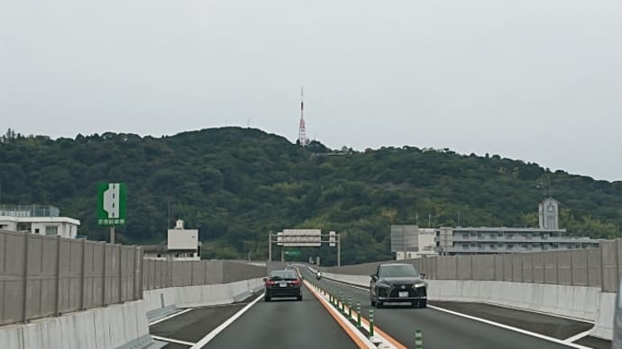 お出迎え!