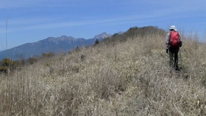 サクラ咲く横尾山 2023.05.09