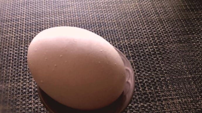 玉子かけ御飯🥚