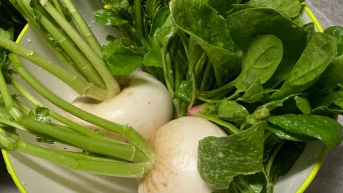 収穫野菜の消費はどのように?