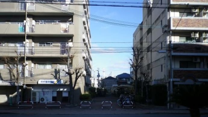 【瀧尾神社】新春京都②2024/1/5