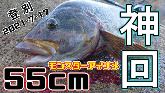 【神回】アイナメ55cm炸裂!21スコーピオンDCで磯ロックフィッシュin登別