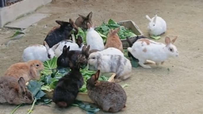 山形県河北町児童動物園
