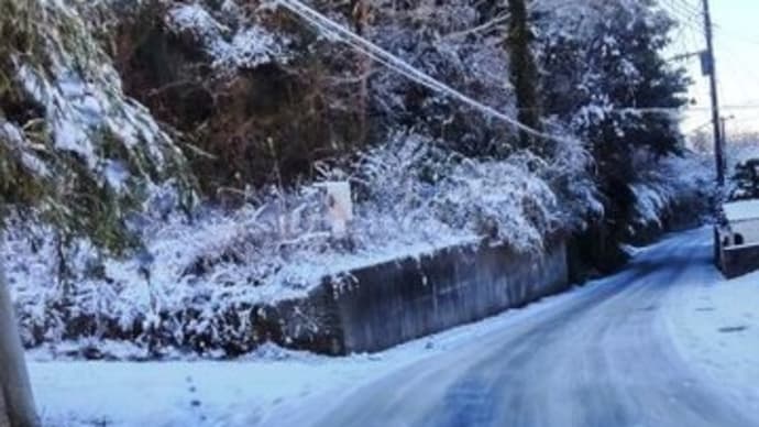 オールシーズンタイヤで雪が積もった二日目の朝