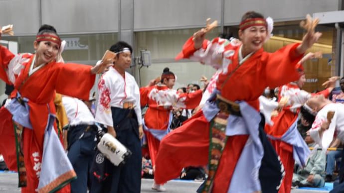 第24回東京よさこいアゼリア通り会場 いなせ系 暁会活頗組チームの人を感動させる舞 19