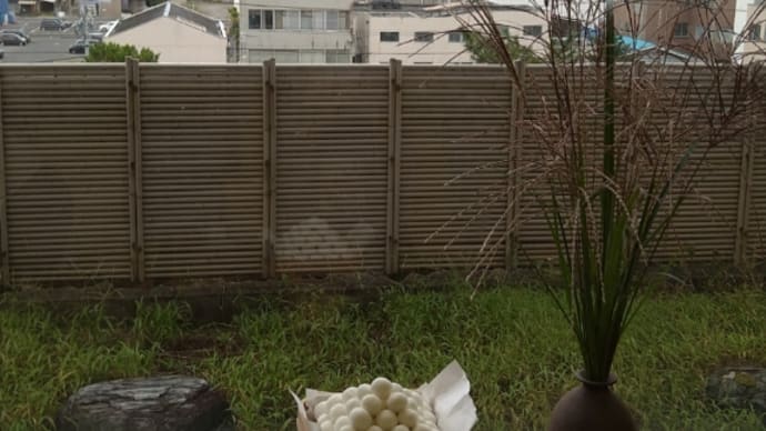 観月会