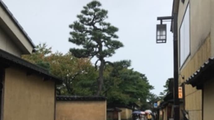 雨の金沢に