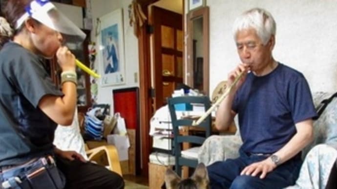 リハビリに付き合う猫
