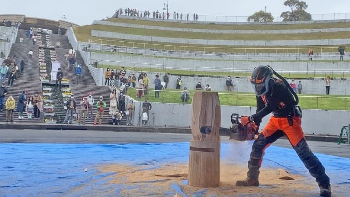 第61回全日本花いっぱい田辺大会 ステージ カービングショウ