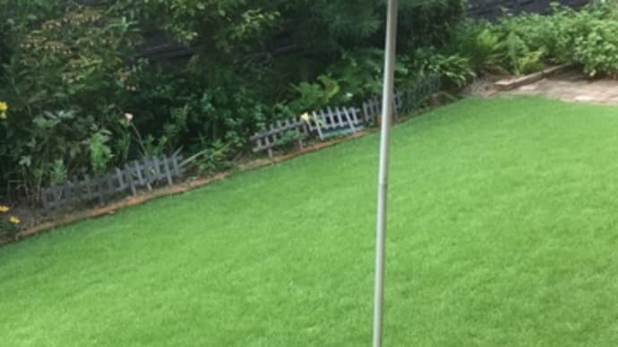 やっと夏らしい天気に
