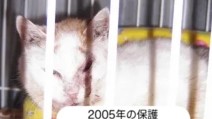 ブログを纏めてみたいと思った理由 1