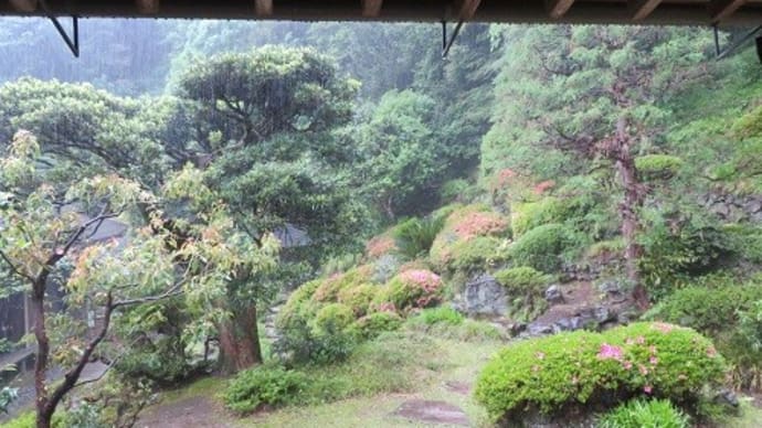 臨済寺の春の特別公開(5)茶室「夢想庵」