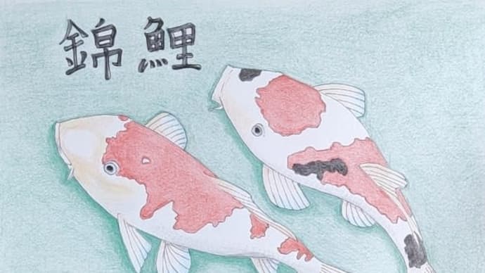 錦鯉 渡辺隆さんのこと