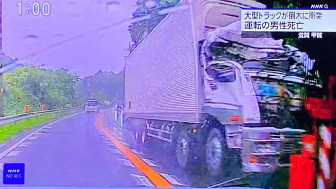 滋賀で襤褸の木が路上に倒れてやがり、走って来た大型トラックに打つかって運転手を殺害