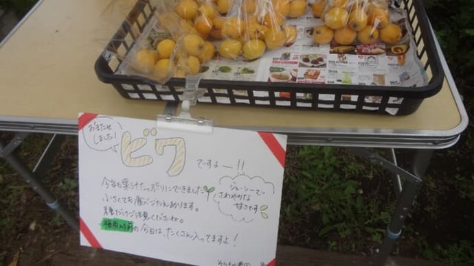 そらまめ農園のビワ