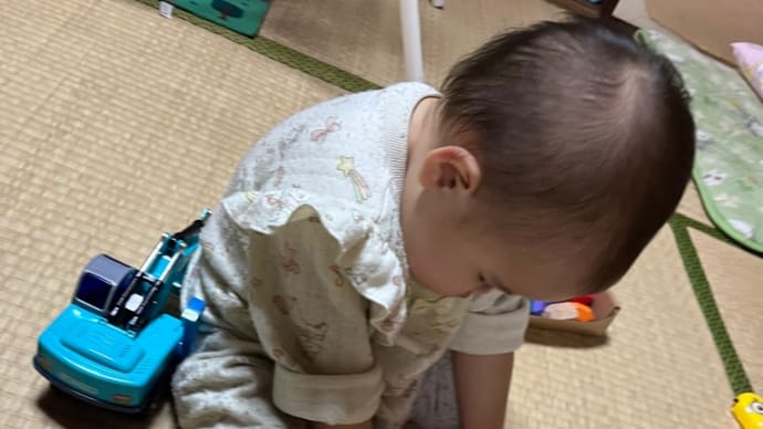 あーちゃんはあと一ヶ月で…#生後11ヶ月