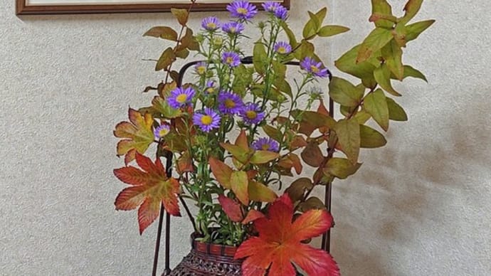 或る日の待合室│花信