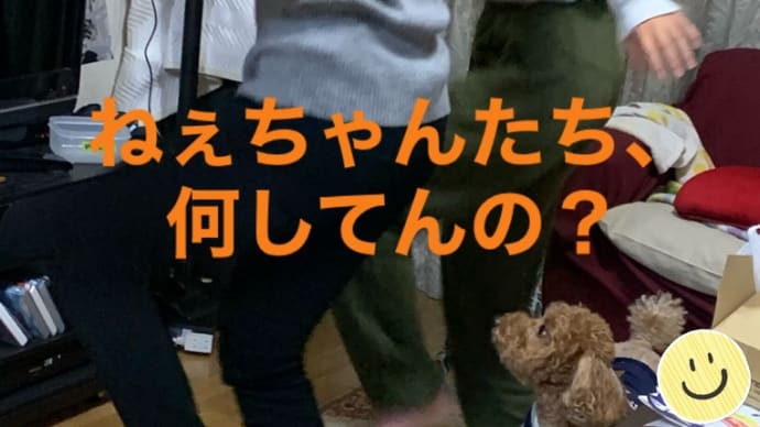 ダンス ダイエット 我が家