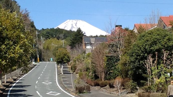 230316_快晴の富士山です