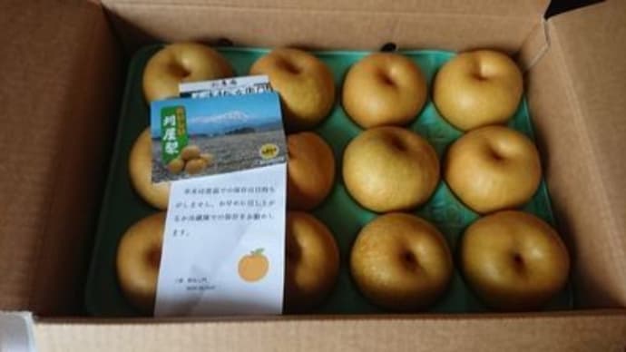 野菜果物も頂き物、収穫した物